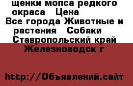 щенки мопса редкого окраса › Цена ­ 20 000 - Все города Животные и растения » Собаки   . Ставропольский край,Железноводск г.